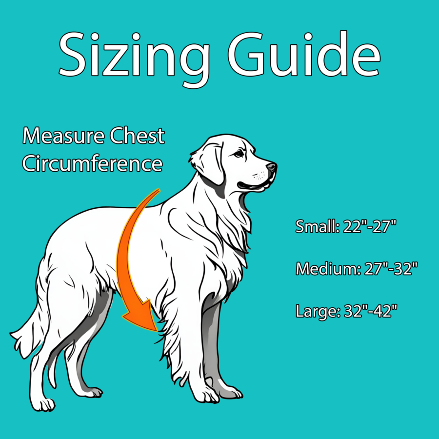 Sizing Guide
